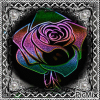 rose xx GIF animasi