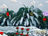 Снег в Сочи - GIF animado gratis