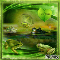 I love Frogs - Darmowy animowany GIF