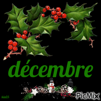 décembre Animated GIF