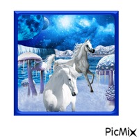 Weiße Pferde im Meer mit blauen Rahmen