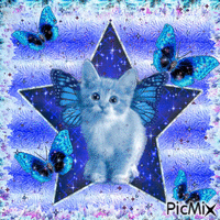 blue cat - Gratis animerad GIF