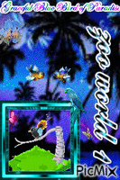Graceful Blue Bird of Paradise - GIF animé gratuit