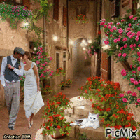 Promenade romantique par BBM GIF animé