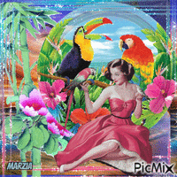 marzia - Cecilia e i pappagalli animerad GIF