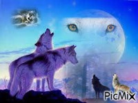 les loup - Animovaný GIF zadarmo