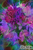 magic flower - GIF animate gratis