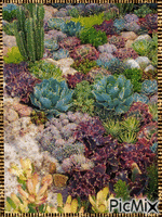 Succulent Garden - GIF animado grátis