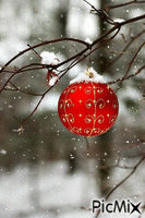 Red Ornament - Free animated GIF