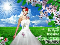 невеста весна - GIF animado grátis
