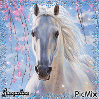 splendide cheval - 無料のアニメーション GIF