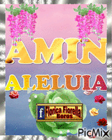 AMIN - Darmowy animowany GIF