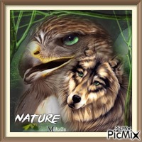 loup aigle nature