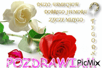 POZDRAWIAM - Безплатен анимиран GIF