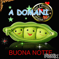 NOTTE - Free animated GIF