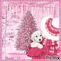 Pink in Winter - Free animated GIF