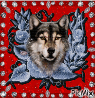 Wolf on red fonf. Animated GIF
