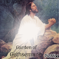 Garden of Gethsemane animasyonlu GIF
