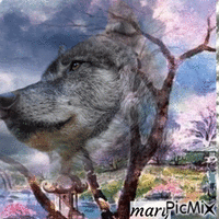 Les loups animovaný GIF