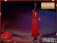 Flamenco (Concurso) - Бесплатный анимированный гифка