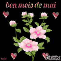 fleurs roses animovaný GIF