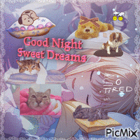 good night saki animovaný GIF