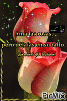De Rosas - Darmowy animowany GIF
