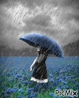 pluie - GIF animado gratis