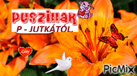 JUCUSKA22 - Безплатен анимиран GIF