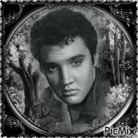 Elvis-RM-03-17-23 - GIF animasi gratis