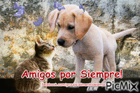 Amigos por Siempre - Бесплатный анимированный гифка