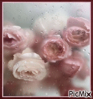 roses et pluie animēts GIF