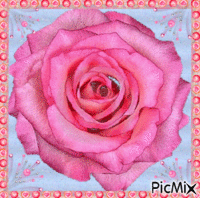 rosa анимированный гифка