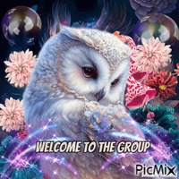 welcome owl анимиран GIF