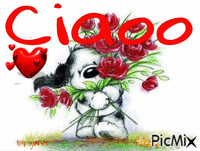 ciaooo - Бесплатный анимированный гифка