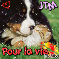 JTM ! - Kostenlose animierte GIFs