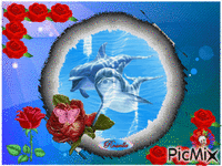 delfino - GIF animado grátis
