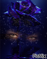 kék rózsa - Gratis animeret GIF