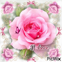 Rose pink believe - Gratis animeret GIF