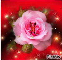 rózsa - Ilmainen animoitu GIF
