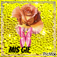 Mis gif - 免费动画 GIF