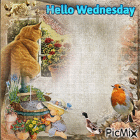 Hello Wednesday Animated GIF