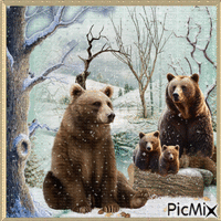 Famille d'ours bruns en hiver.