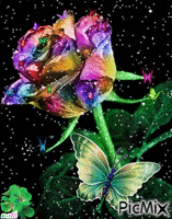 une tré belle rose multicouleur animuotas GIF