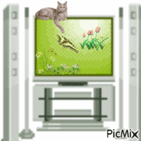 Kitten and butterfly - GIF animate gratis