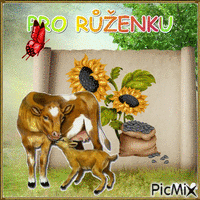 Růženka - Ingyenes animált GIF