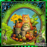 Des fruits et amis les chats - Nemokamas animacinis gif