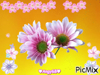 fiori animovaný GIF