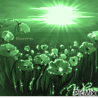 green1 - Darmowy animowany GIF