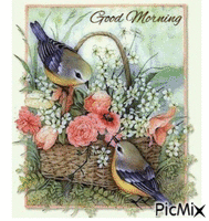 Good Morning, birds анимированный гифка